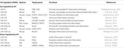 Hypoxic/Ischemic Inflammation, MicroRNAs and δ-Opioid Receptors: Hypoxia/Ischemia-Sensitive Versus-Insensitive Organs